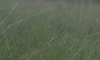 Imagem: Terreno em azurita