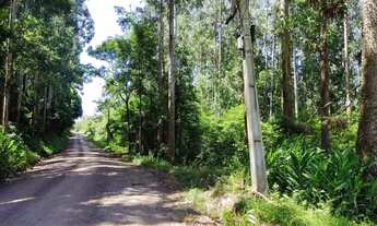 Imagem 7: Sítio / Chácara para Venda em Nova Petrópolis, Linha Brasil Fundos