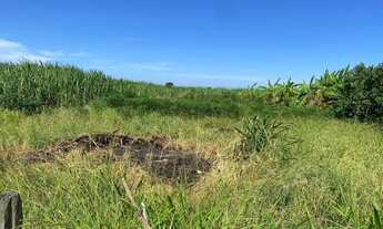 Imagem 6: Casa em São Francisco de Itabapoana