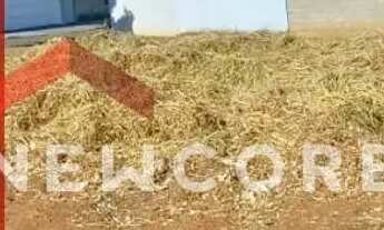 Imagem 3: Lote em Rua Amelio Pegoraro - Jardim Kanebo - Pirassununga/SP