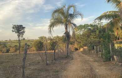 Imagem 2: Chácara 15 mil metros em Aragoiania