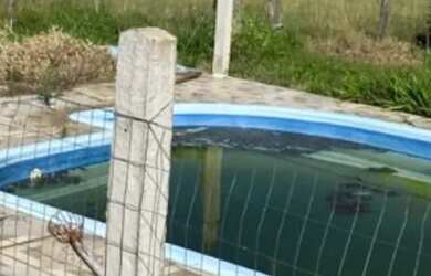 Imagem: Sítio em eldorado do Sul