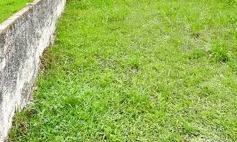 Imagem 6: Terreno Central em Campo Largo - 976m² | Zoneamento Central