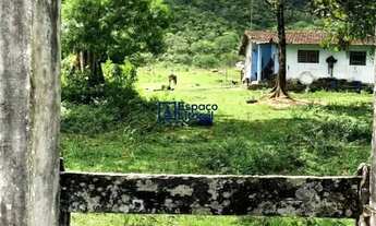 Imagem 7: Fazenda à venda no bairro da Massaguaçu, bairro de Caraguatatuba - SP