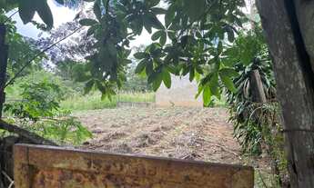 Imagem 5: Vendo chácara Chácara com venda por R$440.000