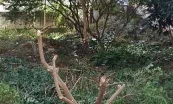 Imagem 2: AREA - ANÁLIA FRANCO - SP