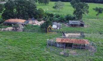 Imagem 2: Fazenda à Venda de 113 Hectares no Cáceres-MT