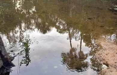 Imagem 5: Vende-se um sítio na região urubuzinho!