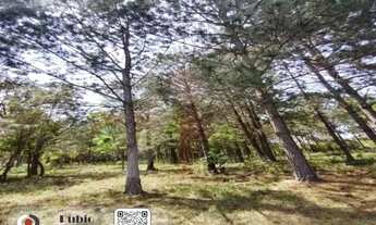 Imagem 3: Excelente área comercial ao lado da Toyota!!