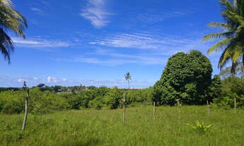 Imagem 3: Sítio em Abrantes