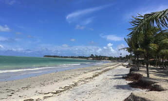Imagem 5: Terreno Praia Enseada dos Golfinhos - Itamaracá
