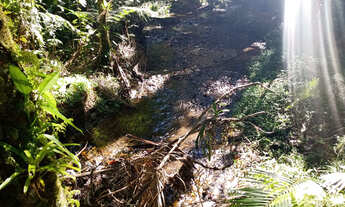 Imagem 3: Chácara com local para lago casa simples