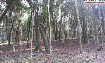 Imagem 3: 14min Piraquara/23min Centro S. José/27min Curitiba/Terreno/2.000m²/ R$181mil