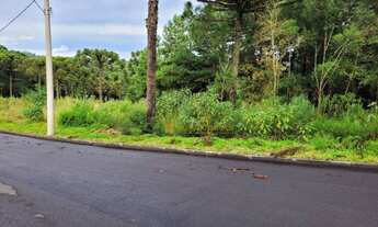 Imagem 2: Terreno à venda, 450 m² por R$ 279.000 - Mato Queimado - Gramado/RS