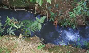 Imagem 5: Chácara para Venda em Brasília, Jardim Botânico, 1 dormitório, 1 suíte, 1 banheiro, 1 vaga