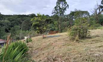 Imagem 4: VENDA, VARGEM SP, CHACARA 23MIL M², CASA, LAGO