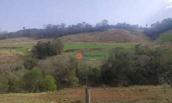 Imagem 5: Chácara 5 Alqueires em Cantagalo-Pr