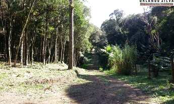 Imagem 2: 14min Piraquara/23min Centro S. José/27min Curitiba/Terreno/2.000m²/ R$181mil