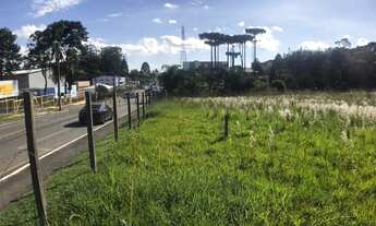 Imagem 4: Vendo Terreno Centro Cidade Quatro Barras Metros total ZR 4 Grande Curitiba Imoveis