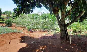 Imagem 7: Chácara para Venda em Londrina, Warta, 3 dormitórios, 2 banheiros, 3 vagas