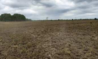 Imagem 4: Fazenda no Pará