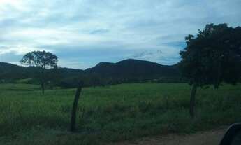 Imagem 6: Fazenda 45 alqueires em Cavalcante Goiás