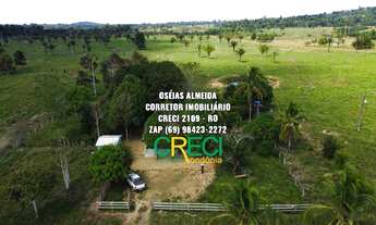 Imagem 3: 80 Alqueires dupla aptidão Machadinho-RO