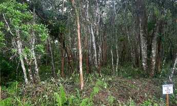 Imagem 3: Lote/Terreno para venda tem 1000 metros quadrados em Balneário Gaivota - Itanhaém - SP