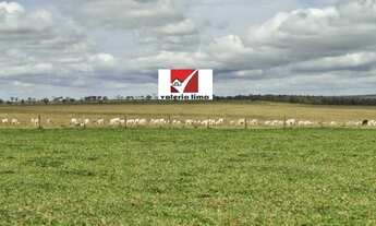 Imagem 3: Fazenda 12000 Alqueires Mato Grosso