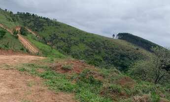 Imagem 7: Lindos lotes com ótima topografia