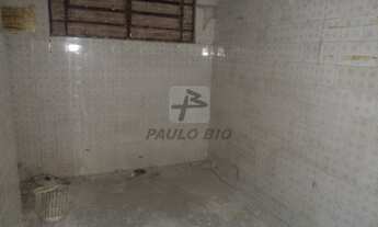 Imagem 3: SANTO ANDRE - Galpão/Depósito/Armazém - Campestre