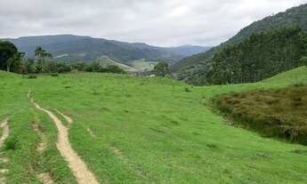 Imagem: Vendo terreno com 3hectares