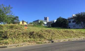 Imagem 3: CRICIÚMA - Terreno Padrão - PRÓSPERA