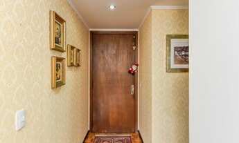 Imagem 2: PORTO ALEGRE - Padrão - Rio Branco