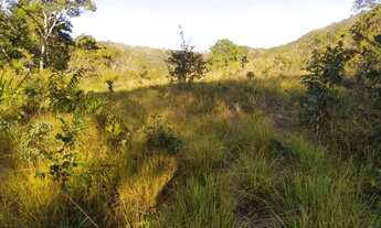 Imagem 3: Fazenda 45 alqueires em Cavalcante Goiás