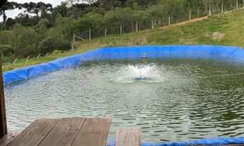 Imagem 6: Chácara a venda em Araucaria Roça velha