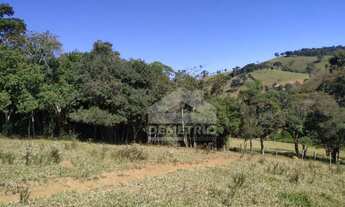 Imagem 4: SÍTIO COM 4 ALQUEIRES À VENDA