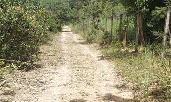 Imagem 4: Vendo chácara Núcleo Rural Bom Sucesso