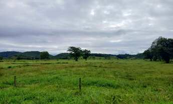 Imagem 5: Fazenda 32 alqueires Área Plana ( Willian Ricardo