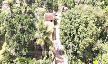 Imagem 3: Fazenda à Venda em Alagoinhas - Bahia
