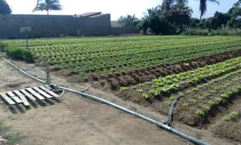 Imagem 3: Terreno a Venda Terreno / lote com venda por R$43.000