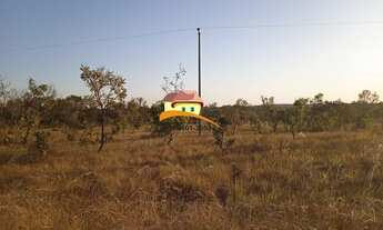 Imagem 6: Fazenda para Venda em Palmas, Região produtora consolidada