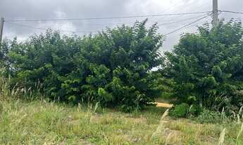 Imagem 2: Terreno no residencial Florença