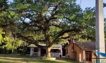 Imagem: Velleda oferece belo sítio, 3 hectares