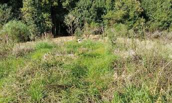 Imagem 5: Casa 3 suítes com hidro semi acabada