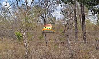 Imagem 3: Fazenda para Venda em Palmas, Região produtora consolidada