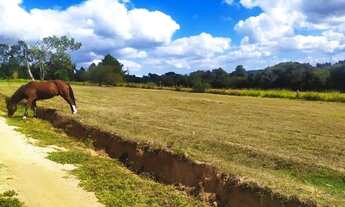 Imagem 4: Casa para Venda - 400m², 5 dormitórios, 3 vagas - Cocão