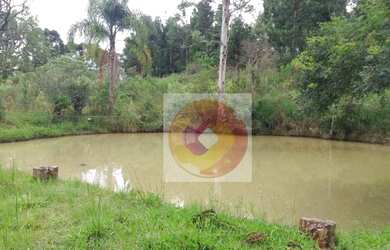 Imagem 2: Chácara com 3 quartos à venda, 12300 m² por R$ 299.000 - Avencal - Mandirituba/PR