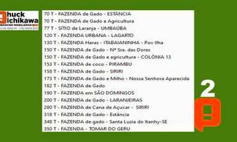 Imagem 7: Chácara de 10 tarefas COLÔNIA TREZE - Centro