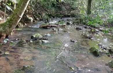 Imagem: Chácara 31 hectares 450,000,00 avista com